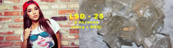 прущие грибы Козельск