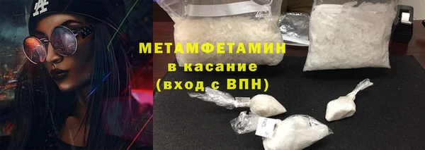 прущие грибы Козельск