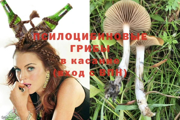 прущие грибы Козельск