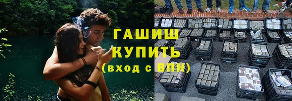прущие грибы Козельск
