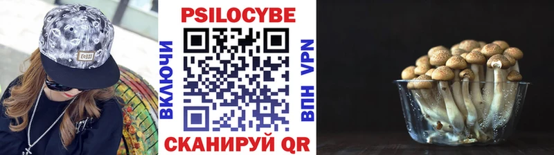 Псилоцибиновые грибы Magic Shrooms  Купить закладки  Шарыпово 